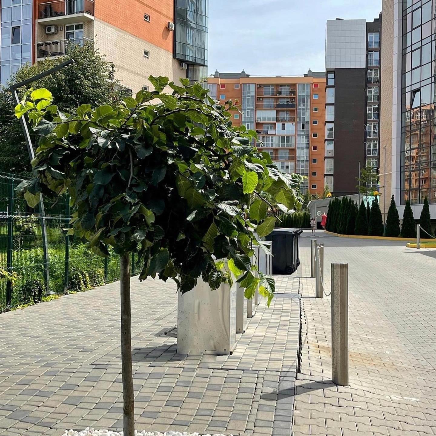 Vodogray Luxury Apartments With Underground Parking Елітний Житловий Комплекс Cernăuți Exterior foto