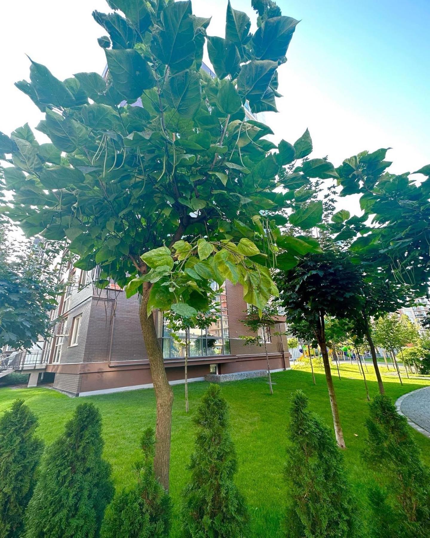 Vodogray Luxury Apartments With Underground Parking Елітний Житловий Комплекс Cernăuți Exterior foto