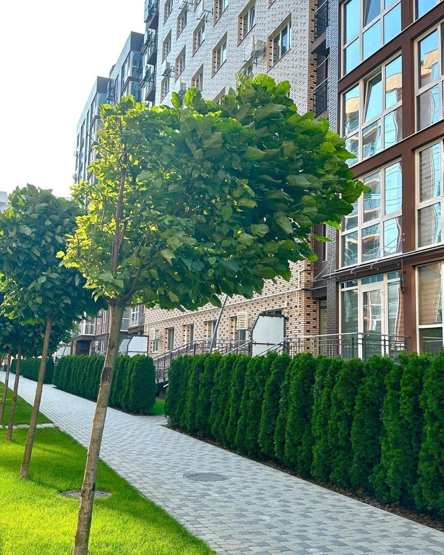 Vodogray Luxury Apartments With Underground Parking Елітний Житловий Комплекс Cernăuți Exterior foto